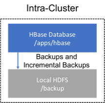 backup intra cluster